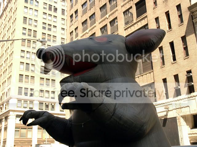 rats.jpg