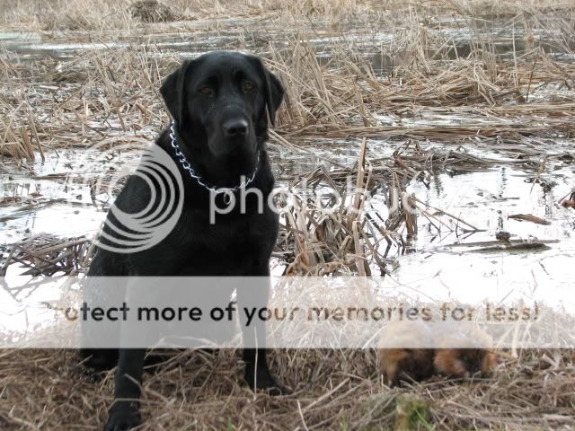 IMG_0617.jpg