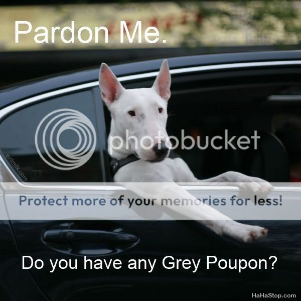 Grey-Poupon.jpg