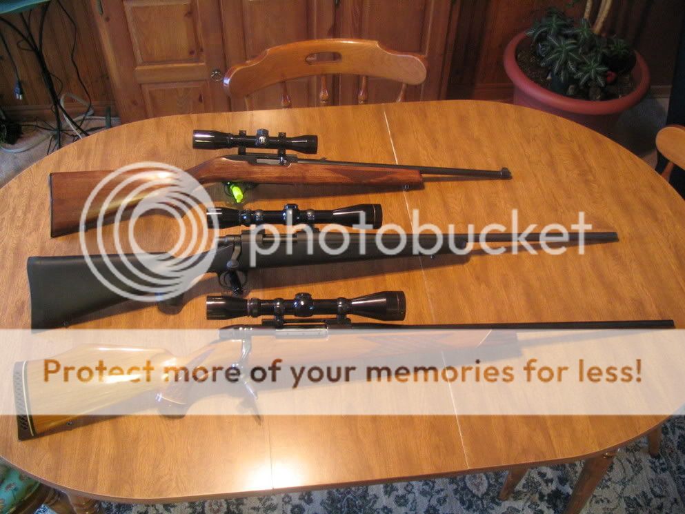 PredatorGuns.jpg
