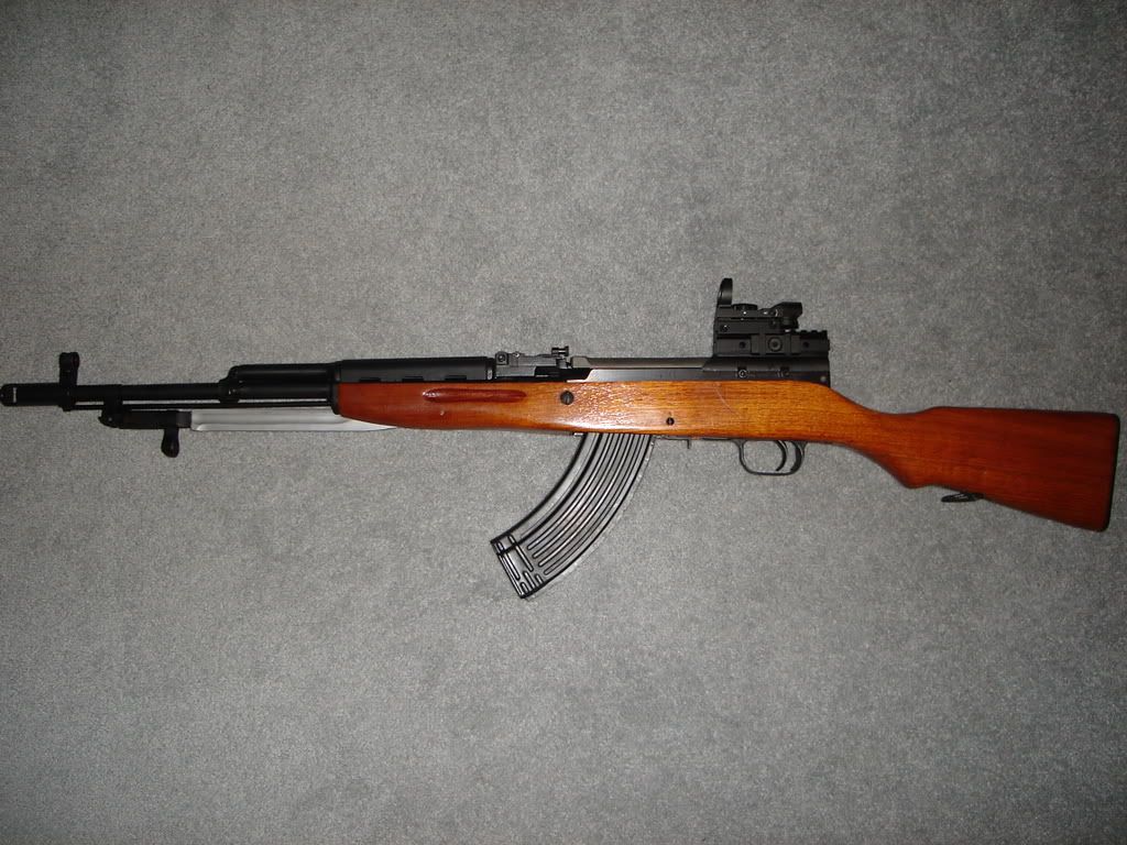 SKSDwithreflexsight001.jpg