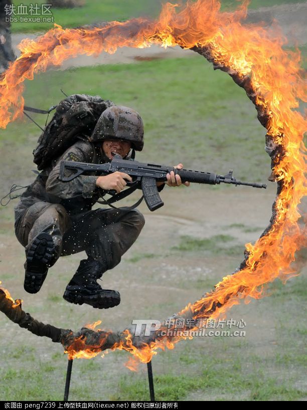 ehOUz4s-494x660.jpg