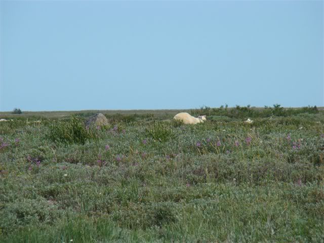 DSC01163.jpg