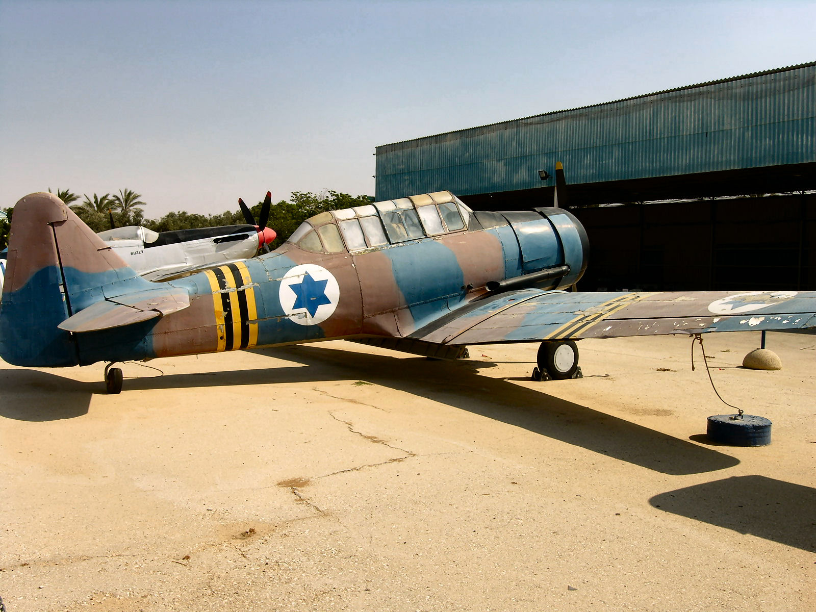 harvard_30_of_33.jpg