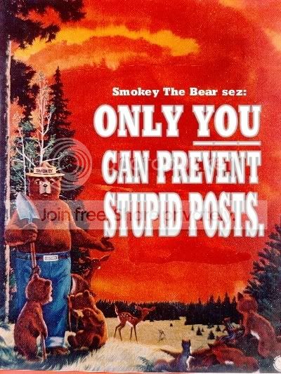 stupid_post_bear.jpg