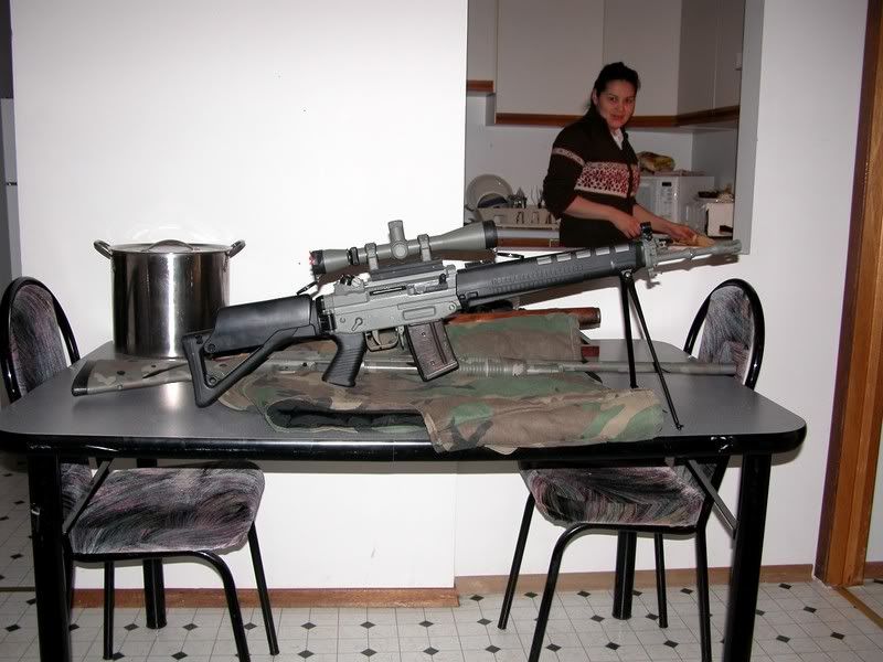 SigArms7.jpg