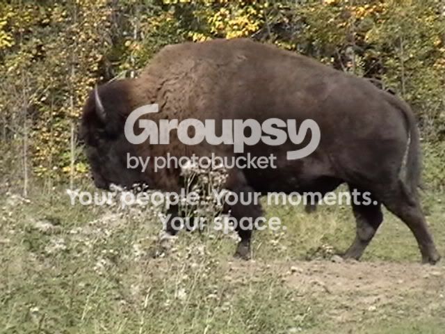 IMGA0604_20_q001_009.jpg