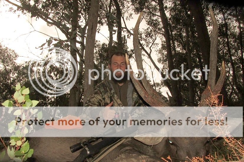 IMG_20170617_171113.jpg~original