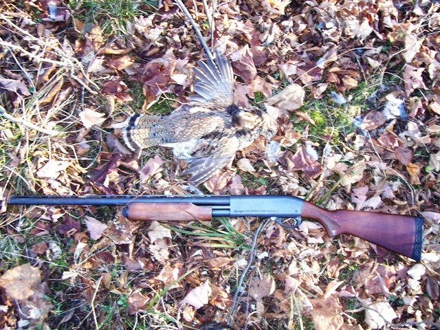 000p7s90