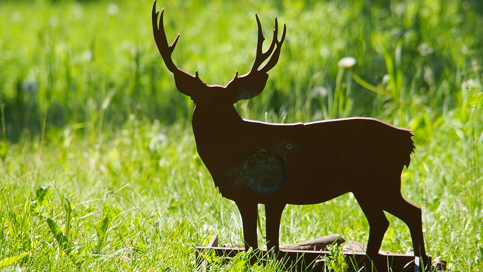 mule_deer_a.jpg