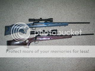 boyds_0001.jpg