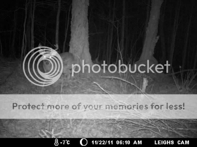 gamecamera2011072.jpg