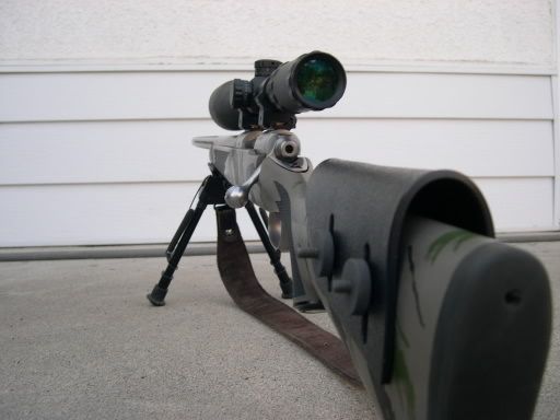 z002.jpg