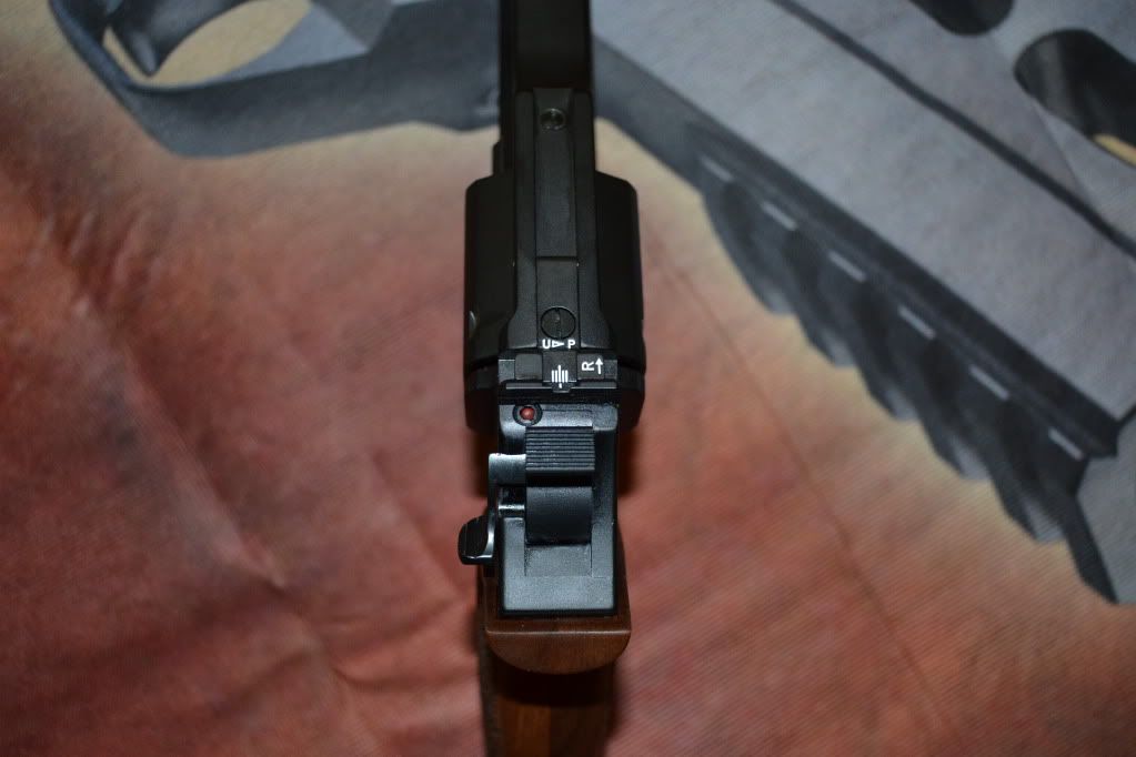Rhino5.jpg