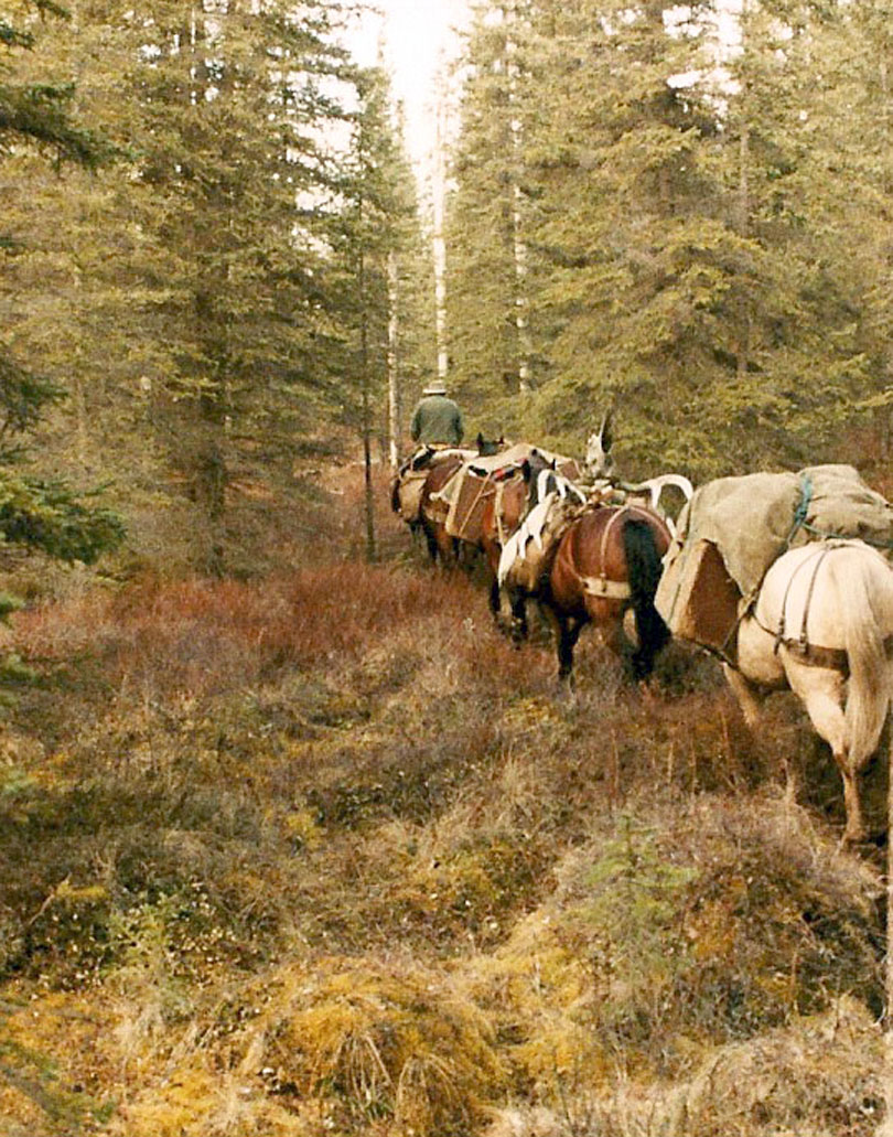 hansen-pack-train-web.jpg