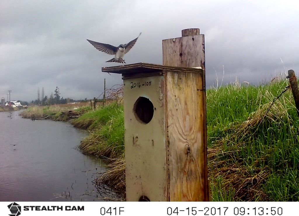 SUNP0116_zpshd2myqkx.jpg~original