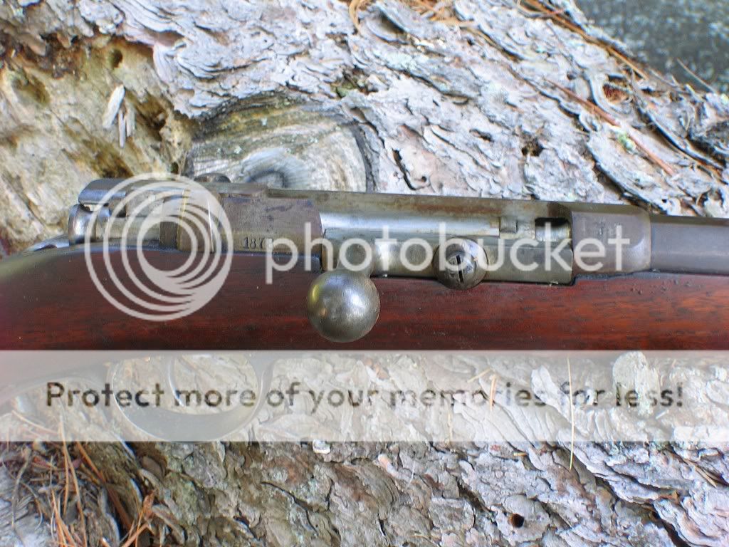 43mauser06.jpg