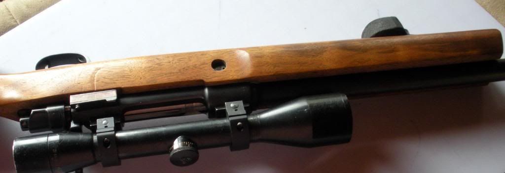 phc3003.jpg