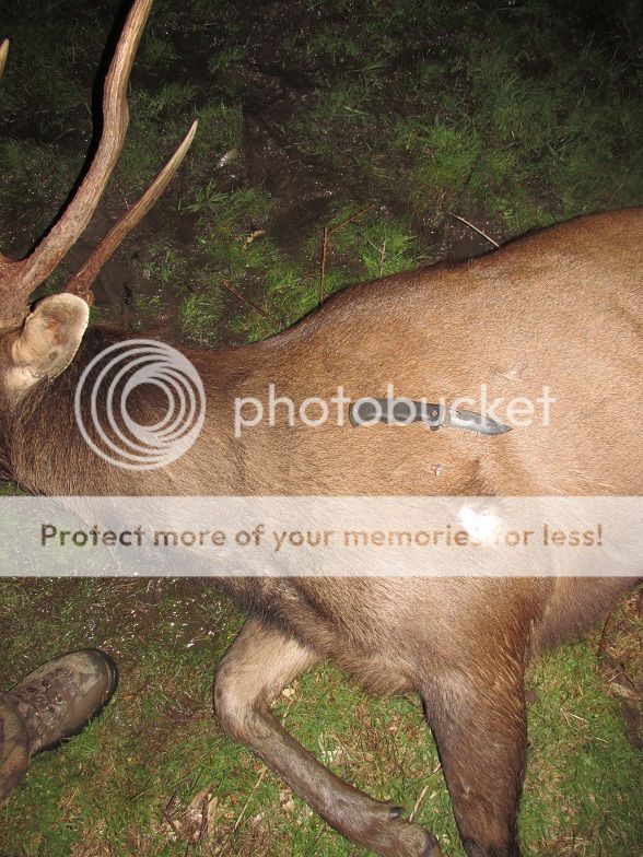 IMG_3939woodleighendup.jpg~original