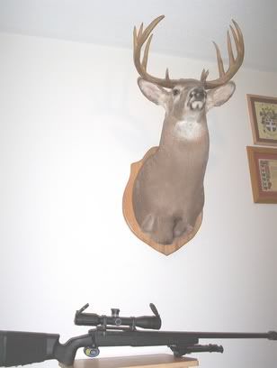 100_0327.jpg