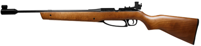 Daisy-Avanti-853_DY853_rifle_lg.jpg
