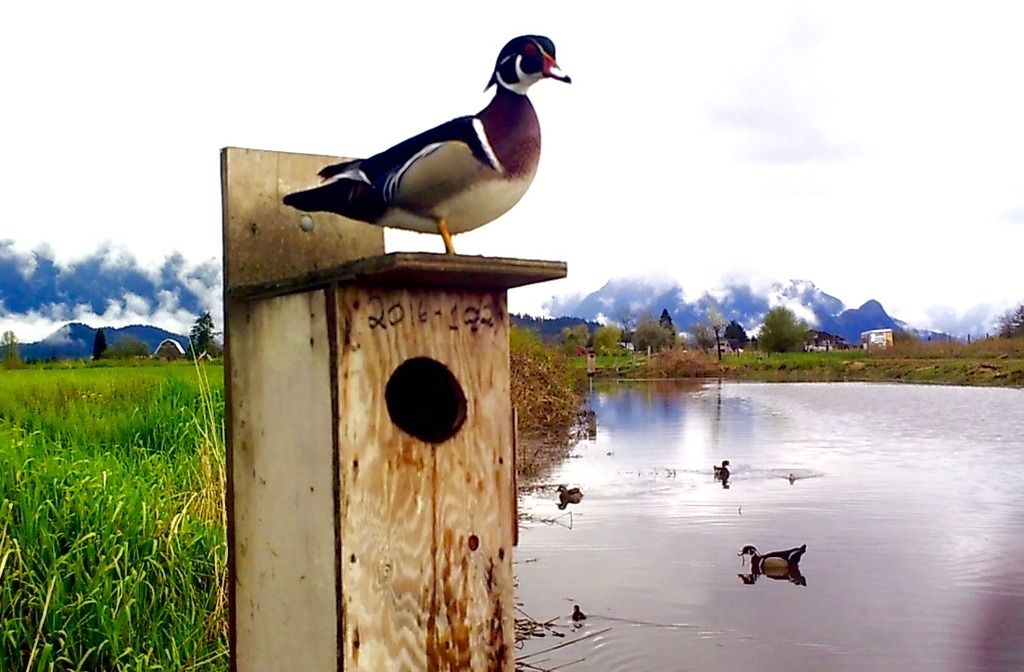 SUNP0704_zps9z32tffu.jpg~original