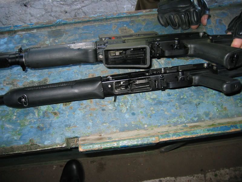 saiga-4.jpg