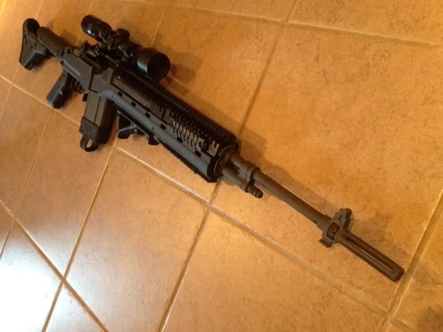 blackfeather4.jpg