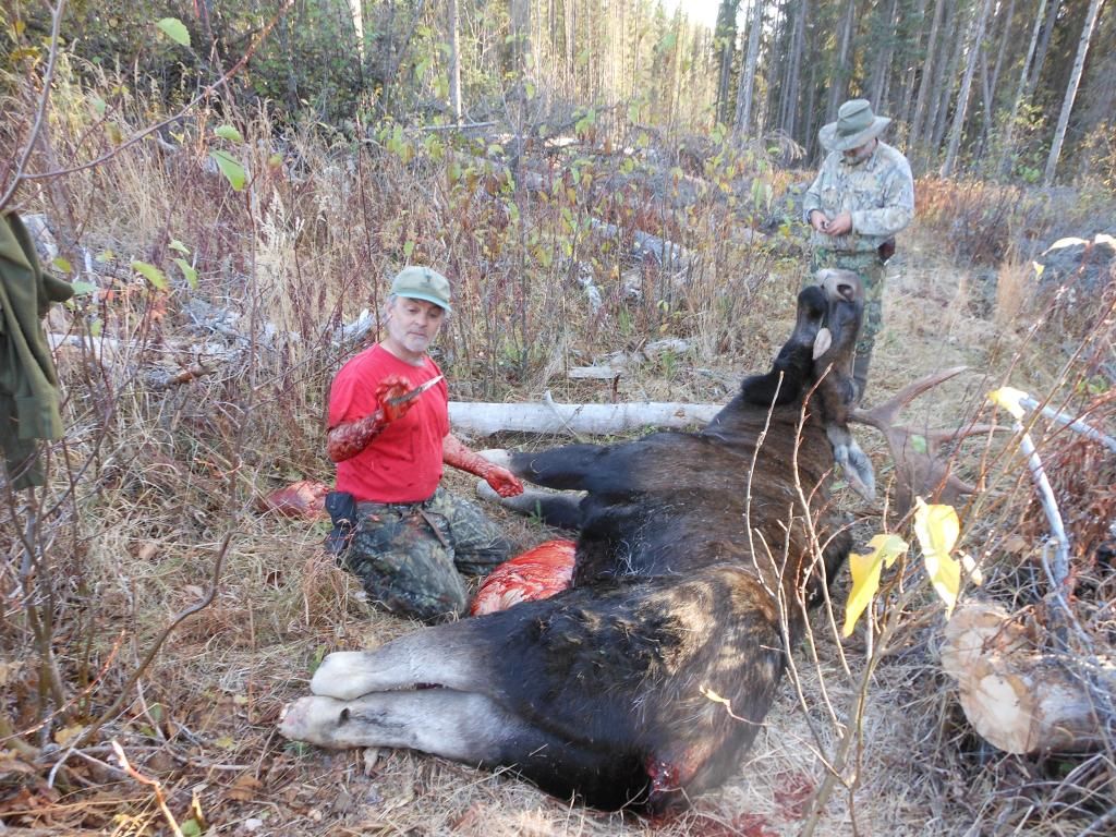 20121015MooseBig092.jpg
