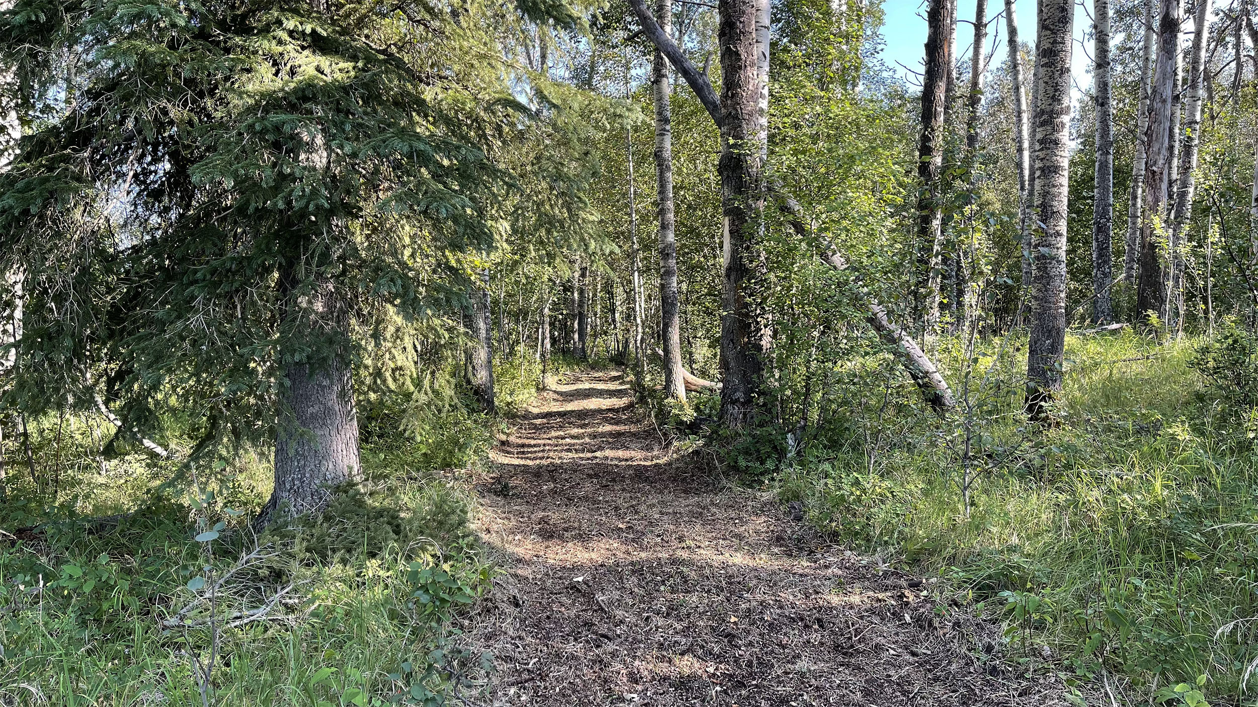 b40b_trail_a.jpg