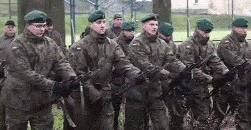 tumblr_lpxh0u34TG1qg39ewo1_500.gif