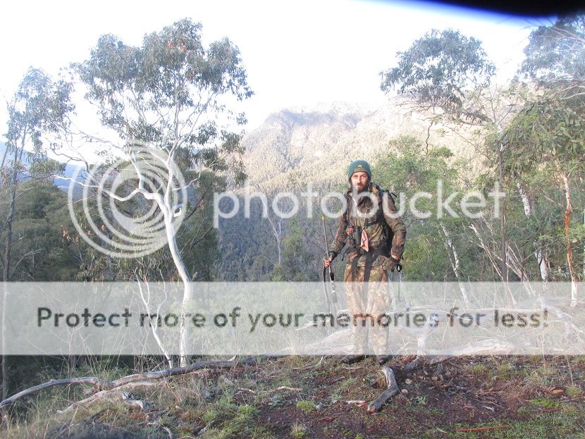 IMG_3290congoWL.jpg~original