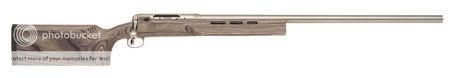 12F-Class-Target-Rifle.jpg