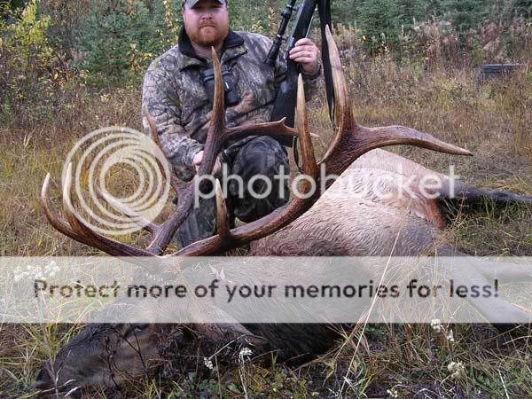 elk06.jpg