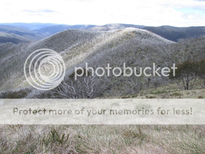 IMG_4167country.jpg~original