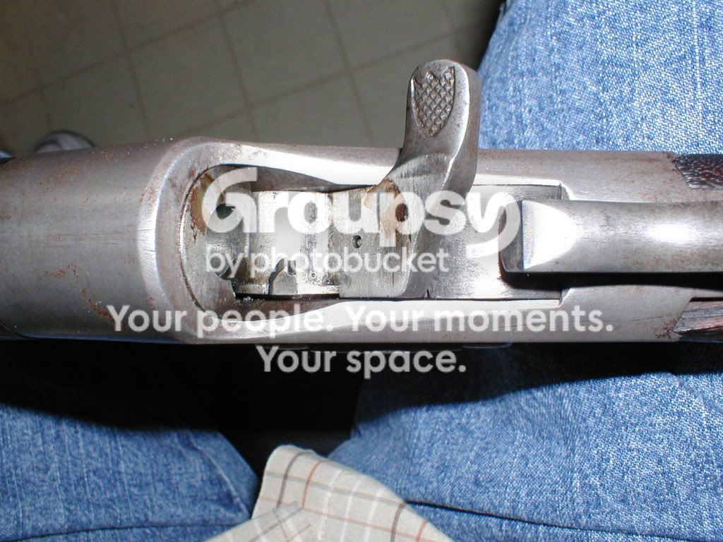 P1010014-5.jpg