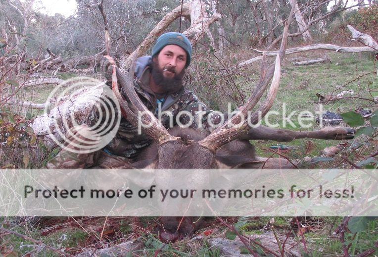 IMG_5672junestag2.jpg~original