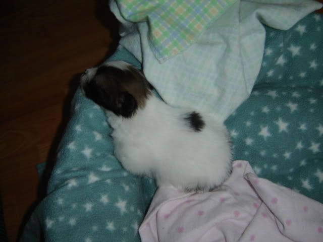 DSC00696.jpg