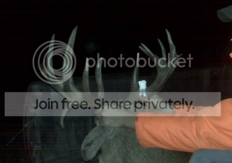 buck2IMG00119.jpg
