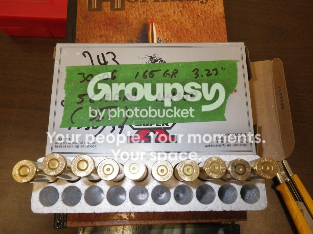 IMGP1196.jpg