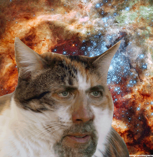 tumblr_muhgl4tUbX1r4xjo2o1_500.gif
