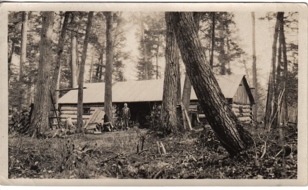 Campinhemlocks.jpg