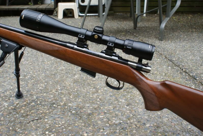 175.jpg