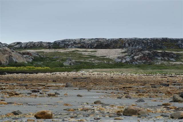 DSC_0561.jpg