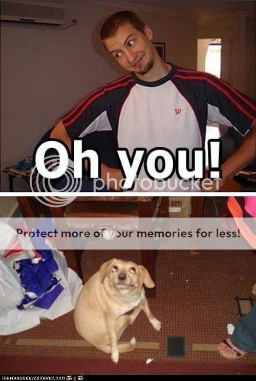 funny-pictures-cant-stay-mad-at-tha.jpg