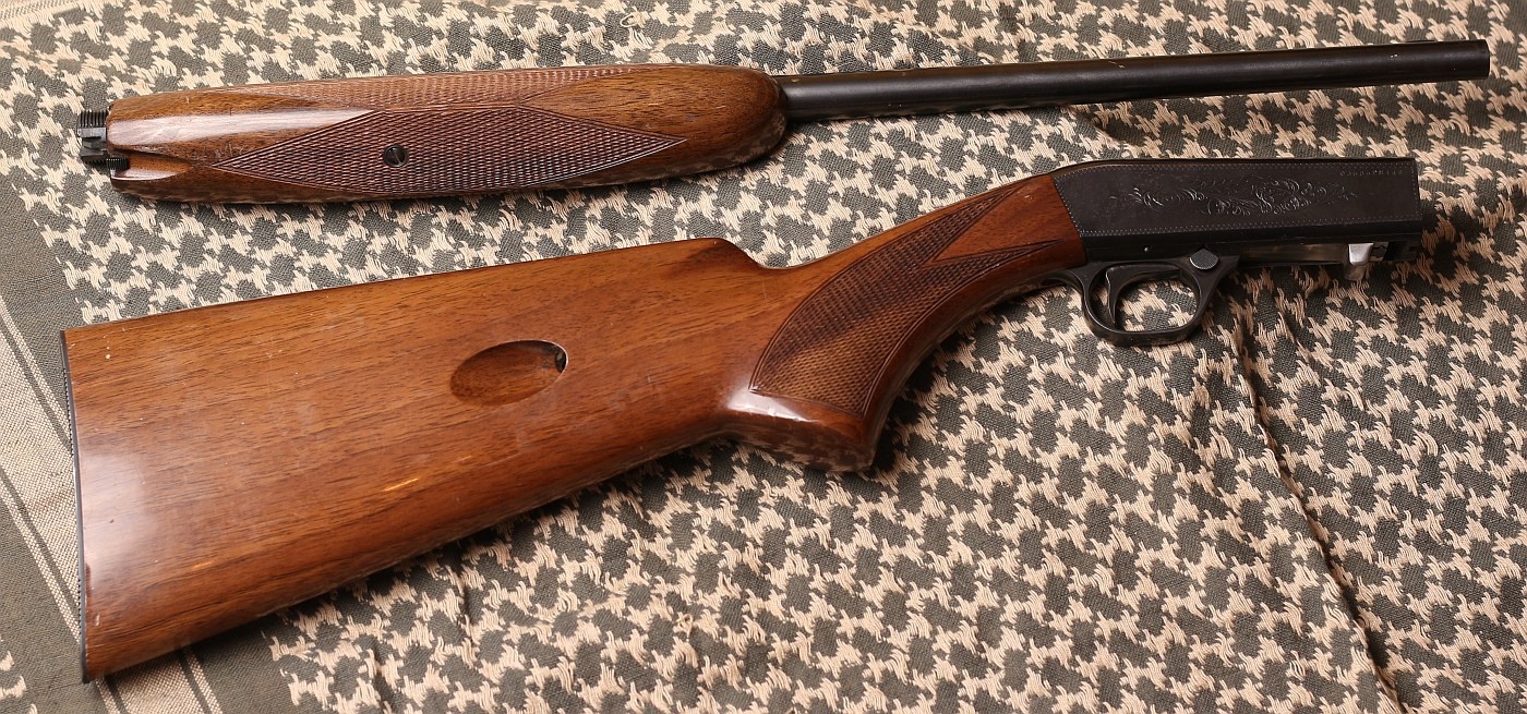 Browning-SA-22-take-down.jpg