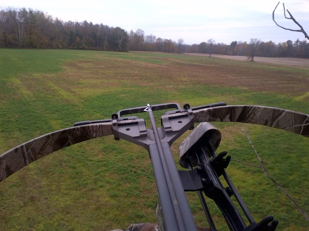 IMG-20111016-00056.jpg