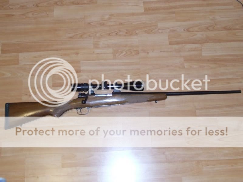 Mauser002.jpg