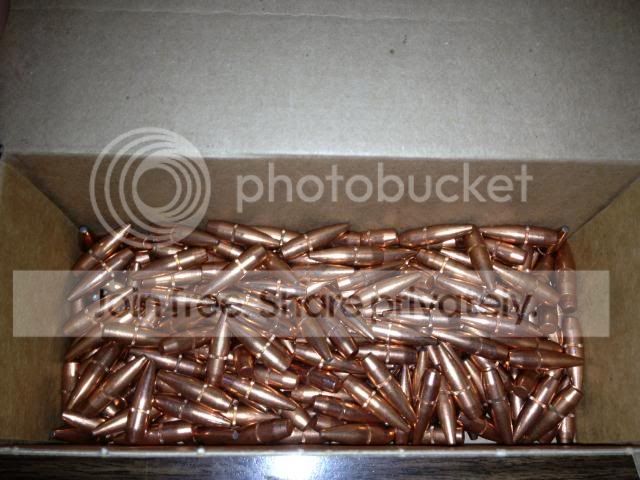 Bulk1_zpsecdf480f.jpg