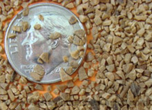 walnut-shell-12-20-grit.jpg
